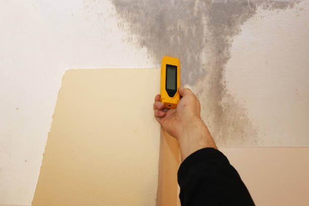 Asbestos and Lead Testing During Mold Inspection in Edgemont Park, MI