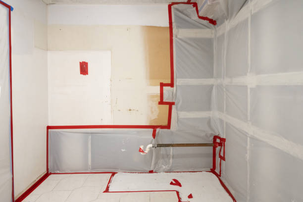 Best Emergency Mold Remediation  in Edgemont Park, MI