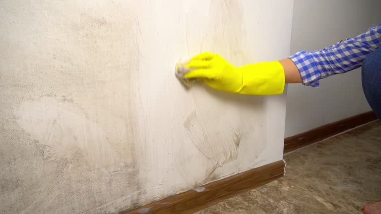 Best Mold Prevention Services  in Edgemont Park, MI