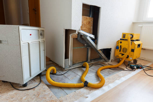 Best Water Damage & Mold Remediation  in Edgemont Park, MI